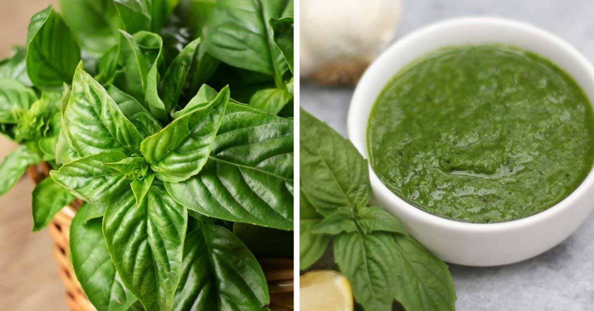 Easy Garlic Lemon Basil Sauce Attainable Sustainable®