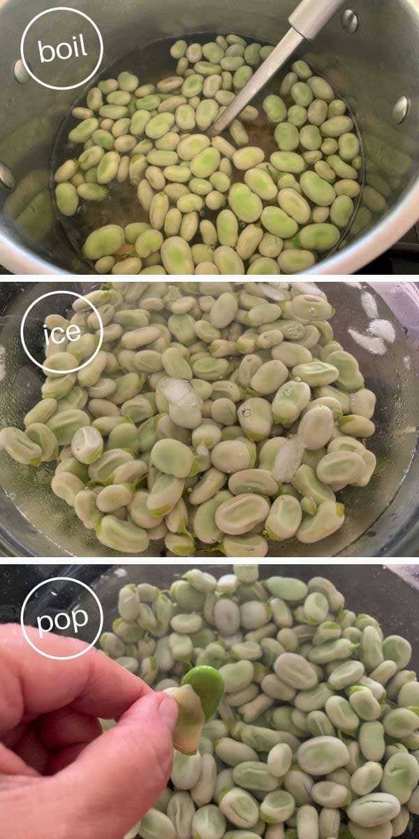 boiling, icing, and squeezing fava beans from their skin