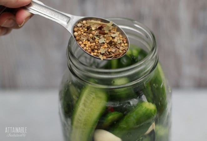 pickle spices in a measuring spoon, jar of cucumbers in the background