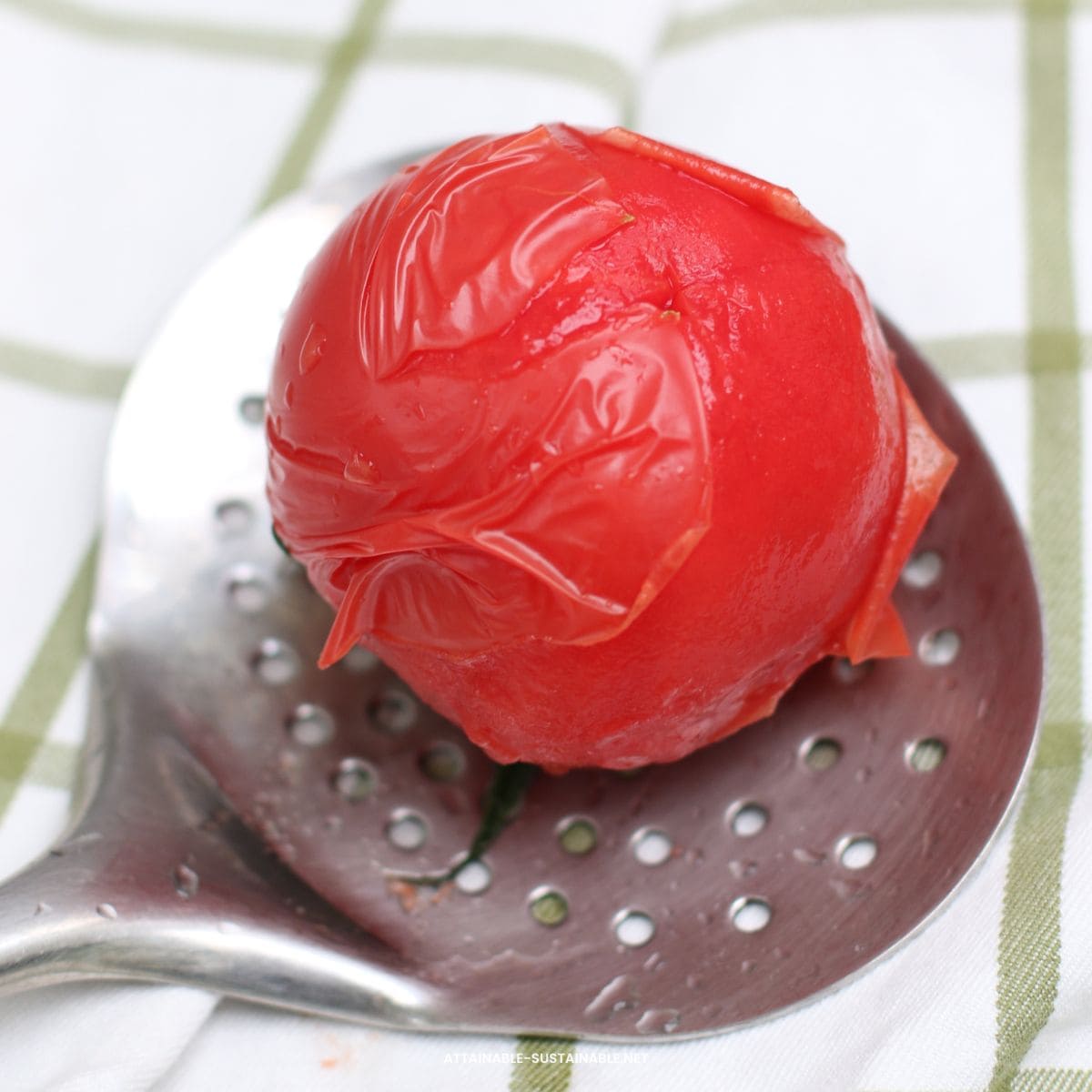 tomato on a slotted spoon, skin wrinkly and peeling away from the fruit.