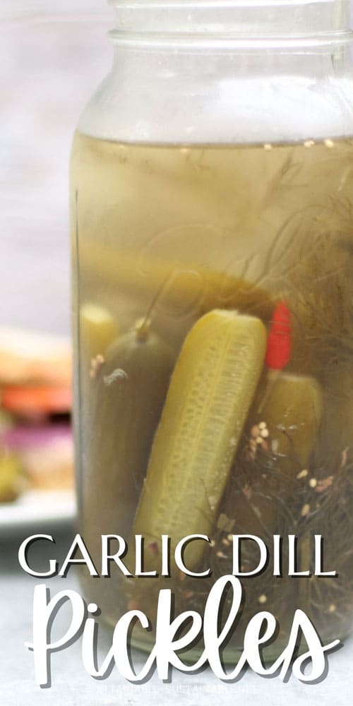 garlic dill pickle halves in a glass jar
