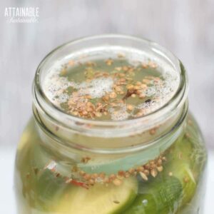 garlic dill pickles fermenting in jar.