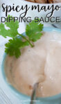 small bowl with spicy mayo dipping sauce