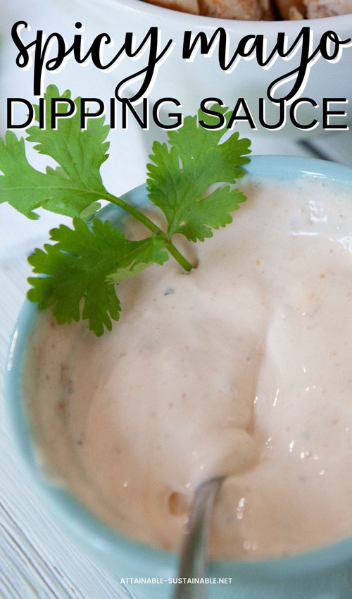 Spicy Sriracha Mayo Recipe