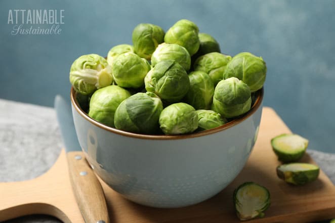 bowl of vegetables that look like tiny cabbage