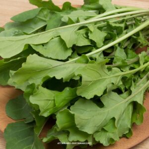 leaves of arugula.