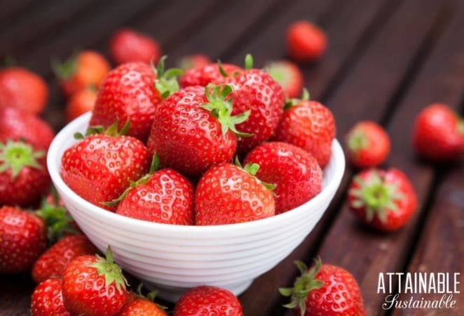 White bowl filled with ripe strawberries.