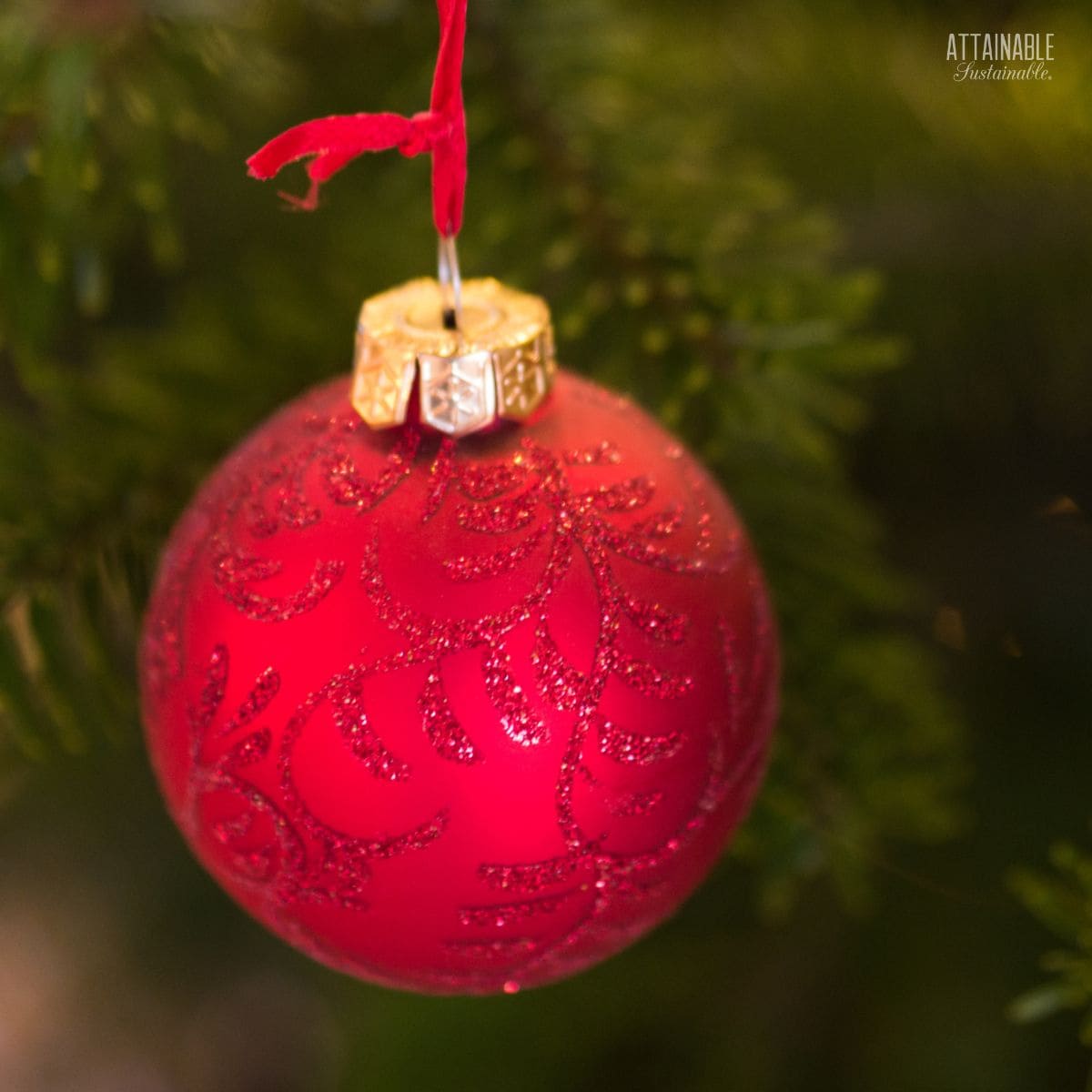 red glass bulb hanging on a christmas tree.