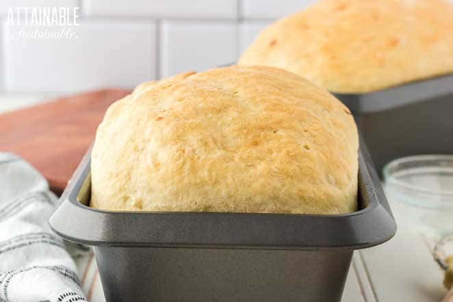 two cooked loaves of white bread