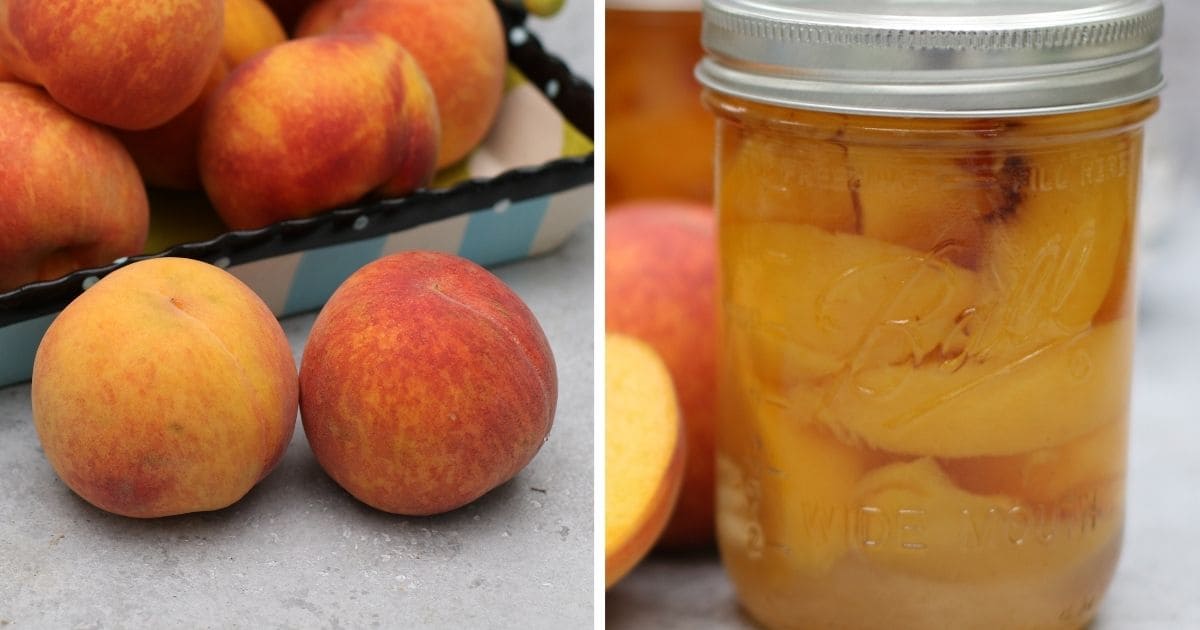 Canning Peaches At Home: Complete Guide To Perfect Canned Peaches