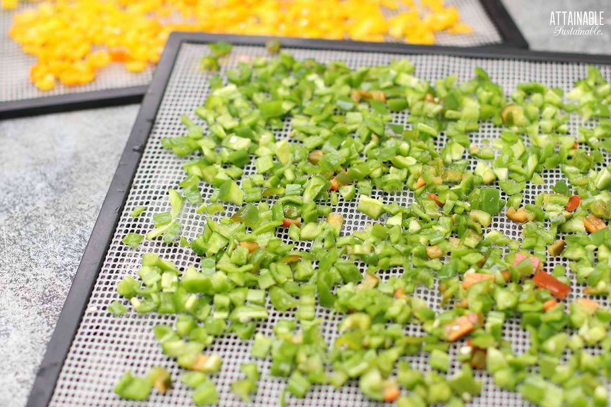 raw peppers on dehydrator trays.