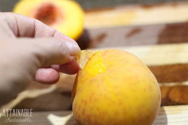 hand pulling peach skin away