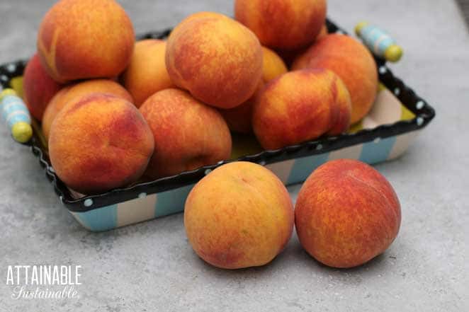 fresh peaches in a rectangle dish
