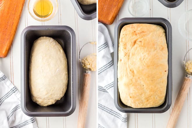 loaf of bread rising in pan and baked later