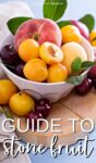 stone fruit (apricots, peaches, cherries) in a white bowl