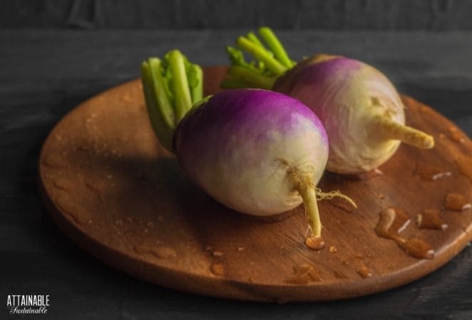 2 purple and white turnips on side, on wooden cutting board, dark background.