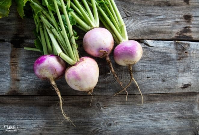 4 purple and white turnips with green stems, on a gray wood plank background.