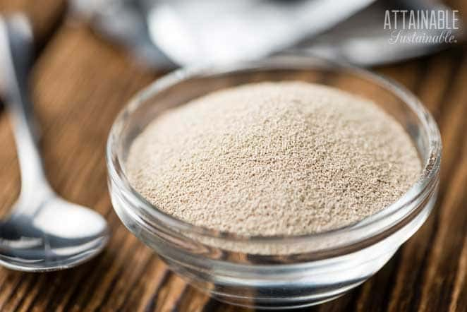 clear glass bowl with yeast granules