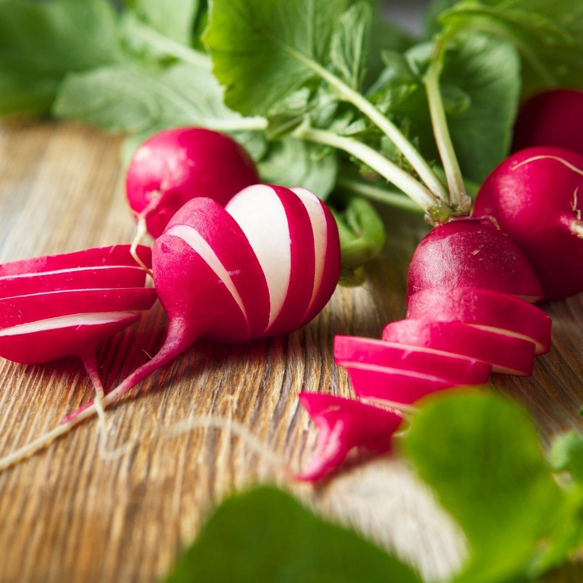 sliced radishes with leaves still on.