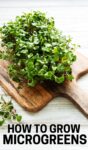 microgreens sitting on a cutting board with words saying "how to grow microgreens."