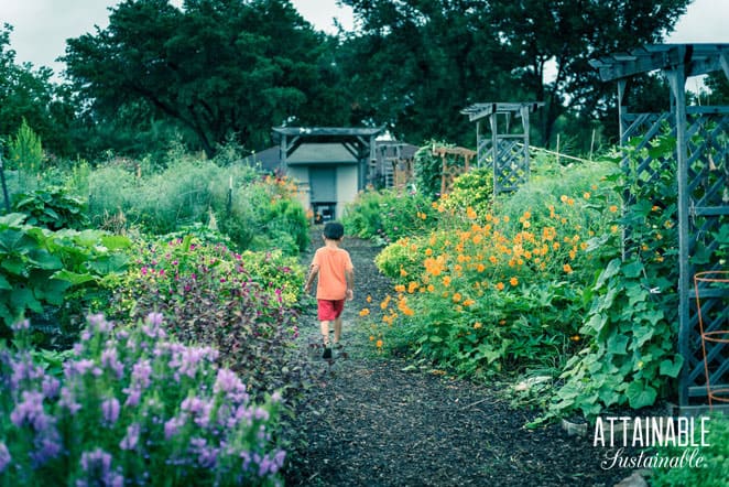 child walking away from camera on a path