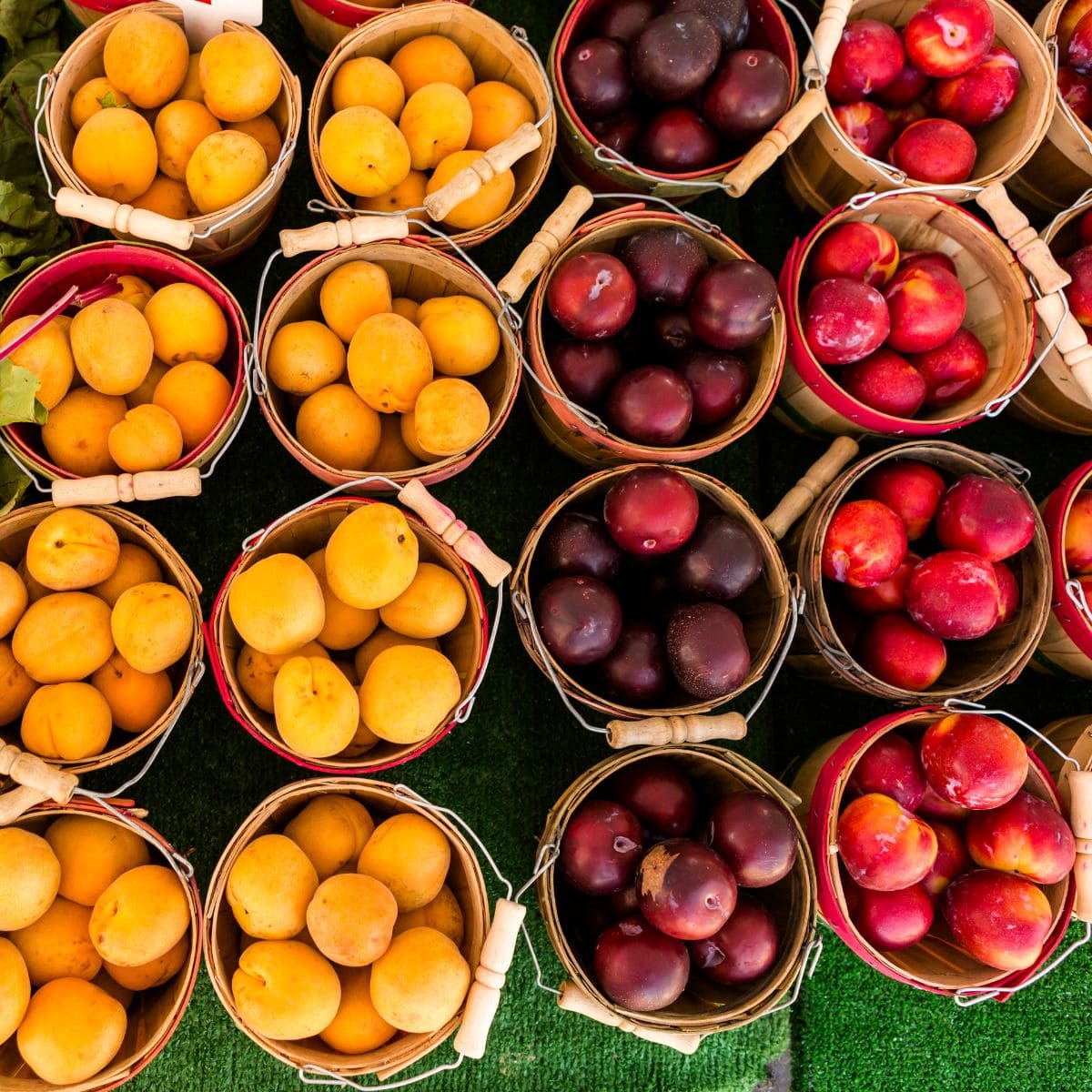 yellow and purple plums in baskets from above.