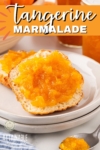 two slices of toast with marmalade on white plates.
