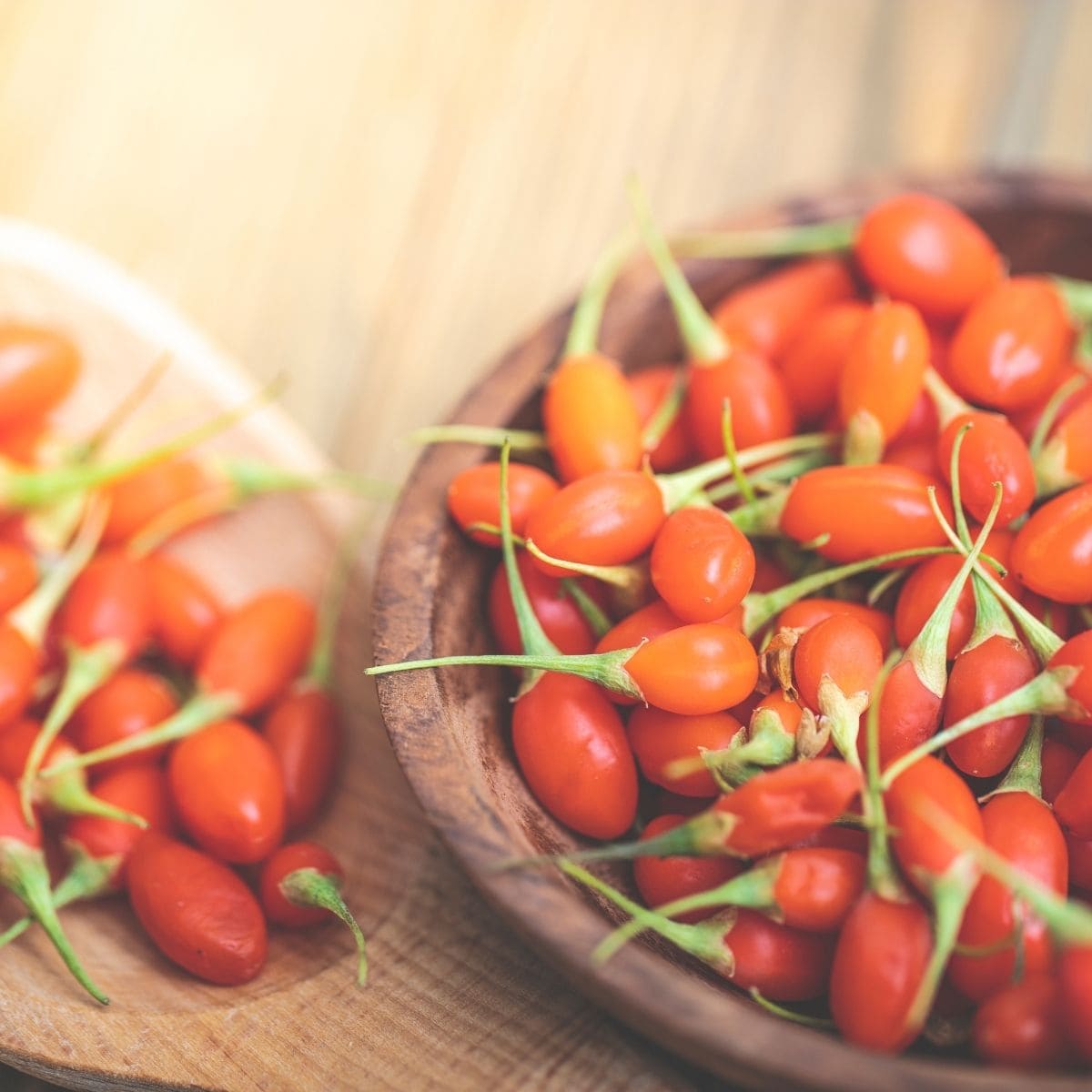 Ripe harvested goji berries in a wooden bowl and wooden spoon.