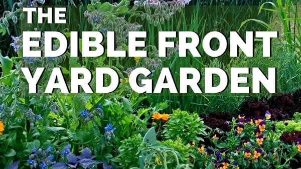 cropped cover of edible front yard ebook.