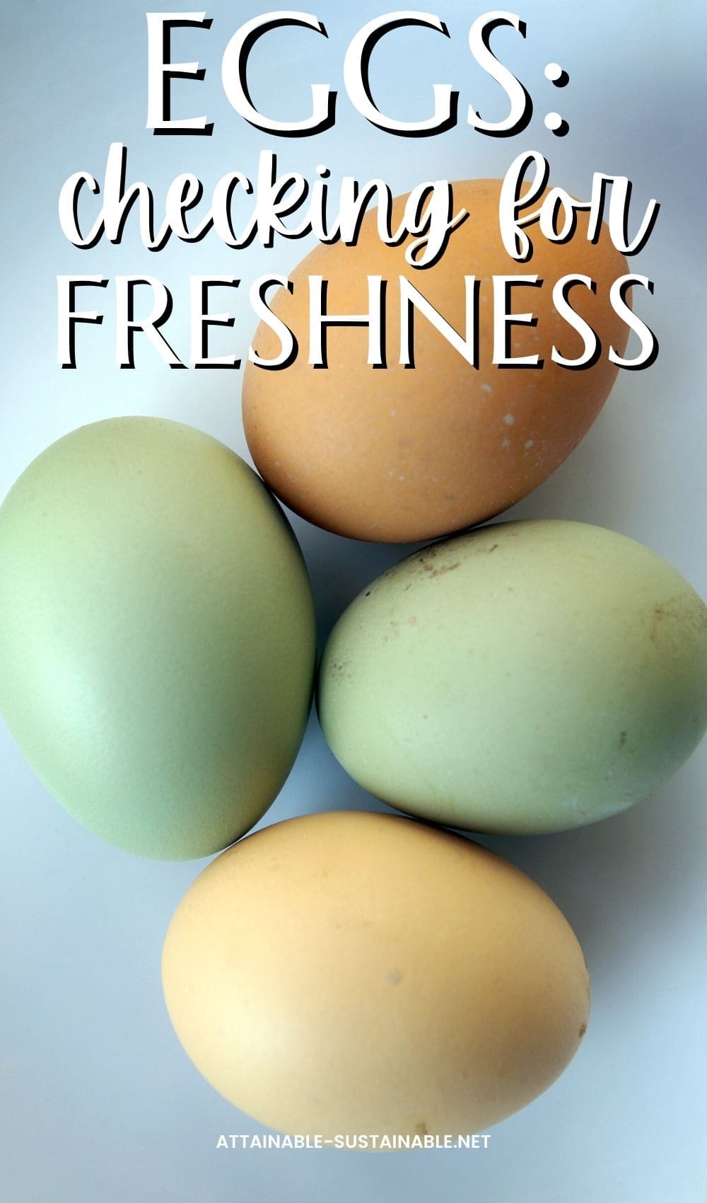 fresh eggs: brown, green, beige.