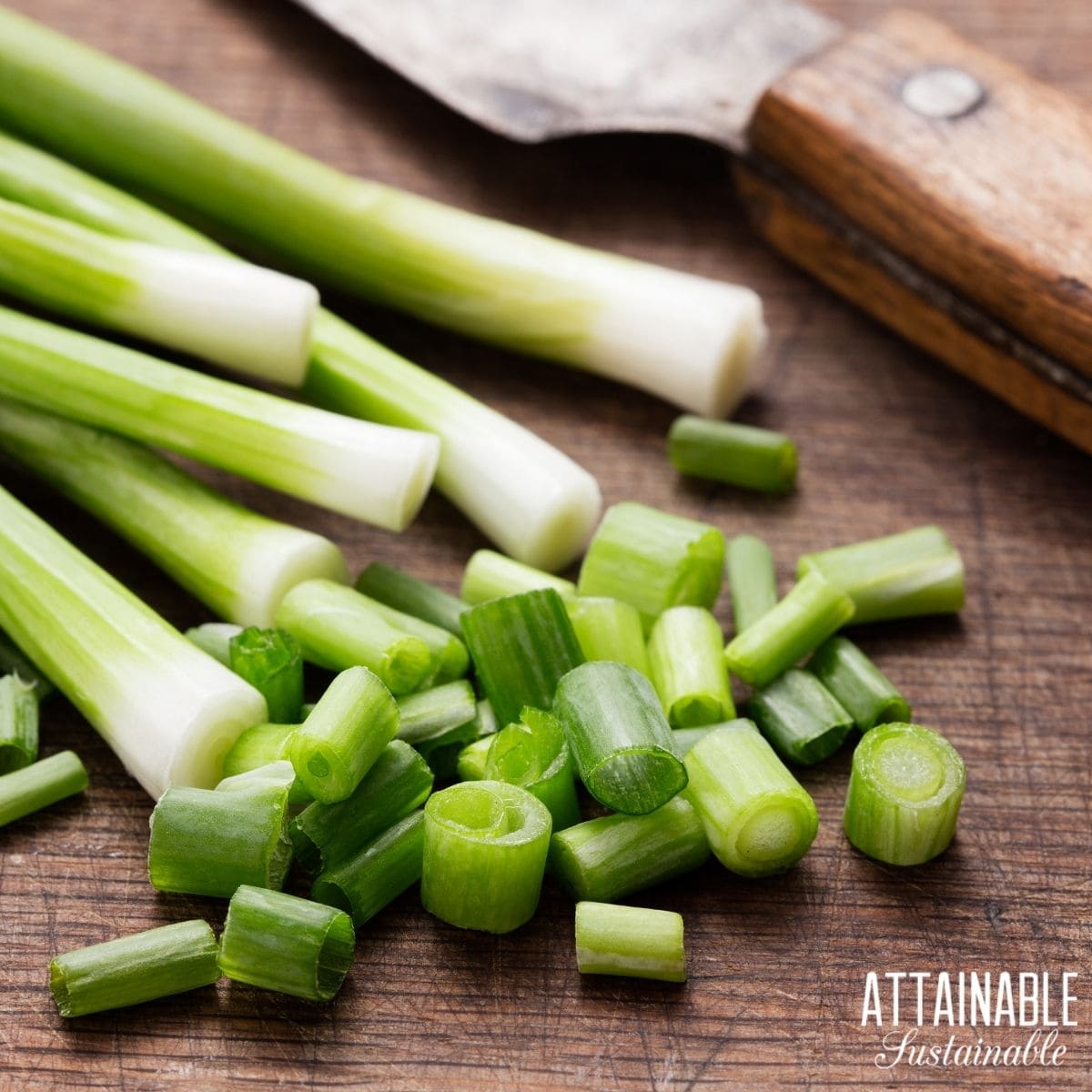 Green onions being chopped on a wooden cutting board. 