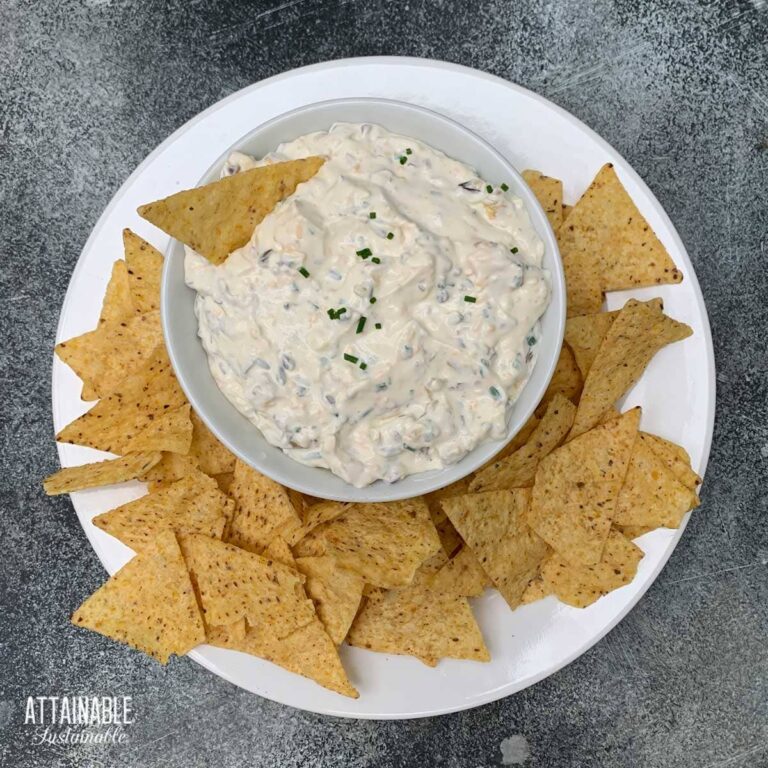 Easy Cream Cheese Dip with Green Onions Attainable Sustainable®