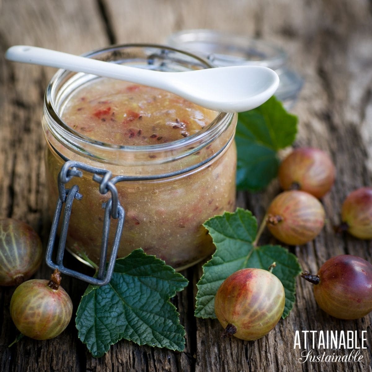 Gooseberry jam in a jar surrounded by ripe gooseberries. 