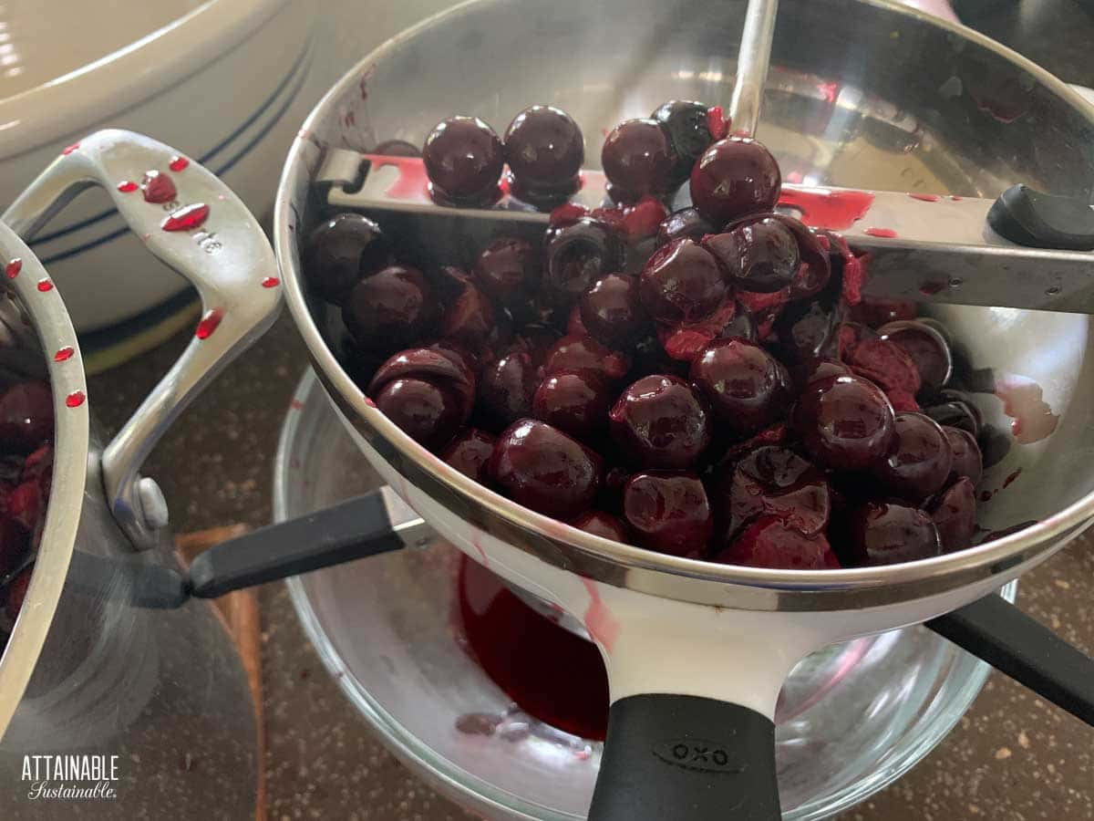 jaboticaba fruit in a food mill.