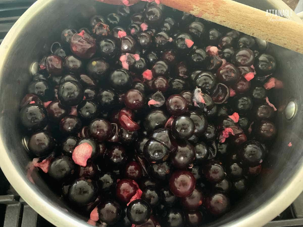 jaboticaba fruit in a pot.