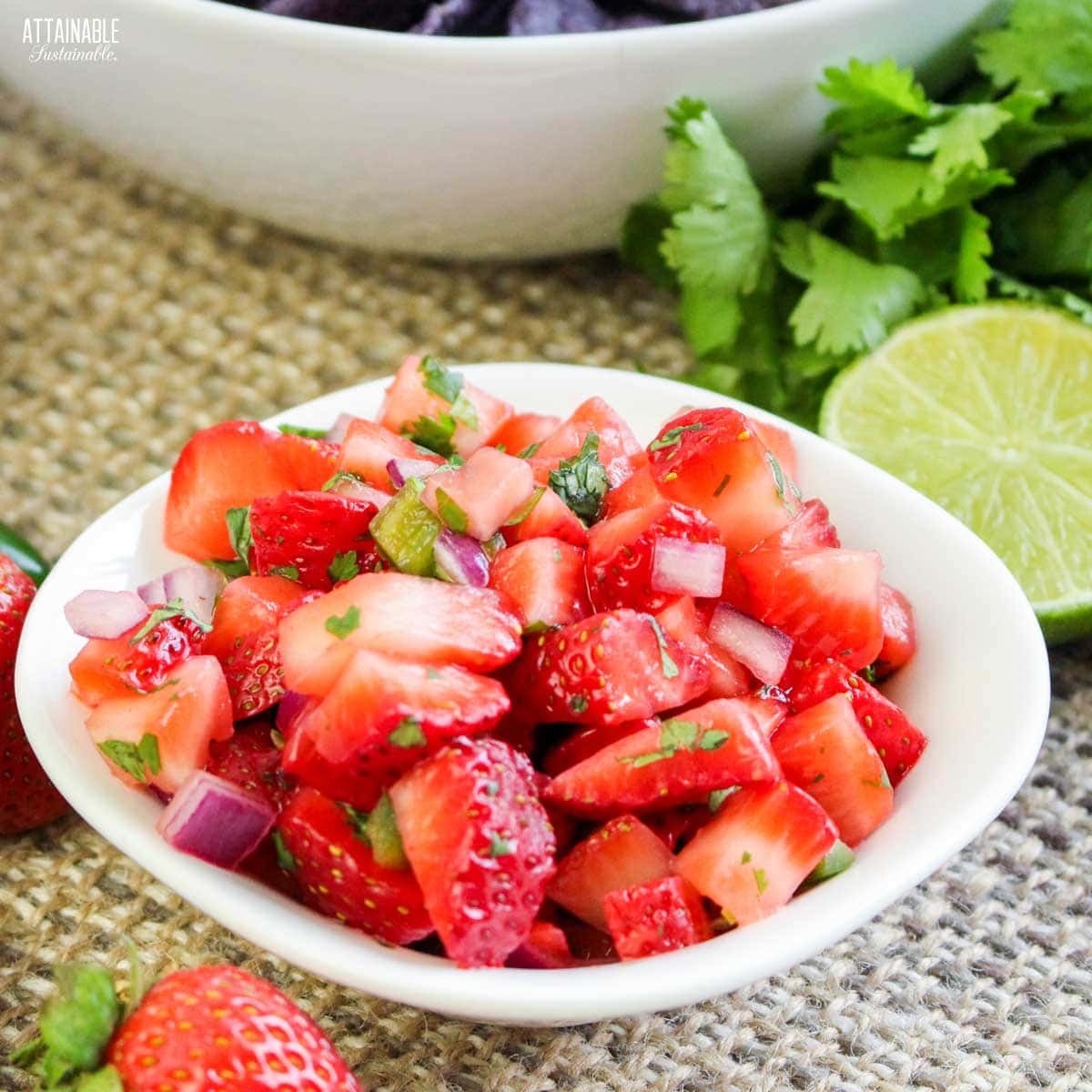 Strawberry Salsa Savory & Sweet Summertime Goodness