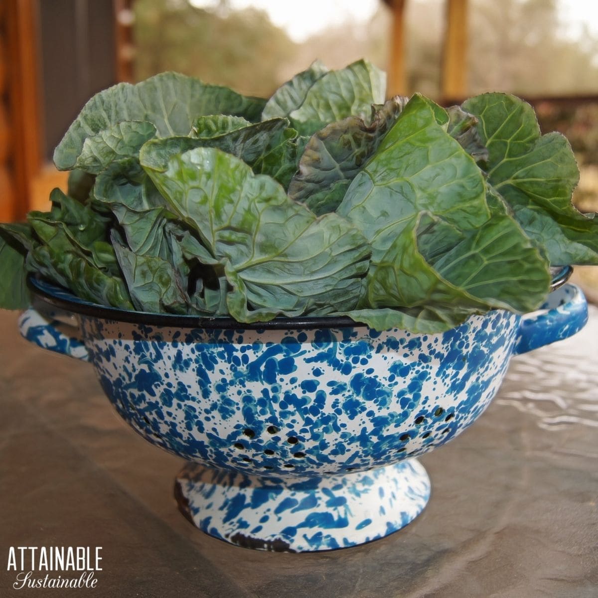 Collards in a strainer.