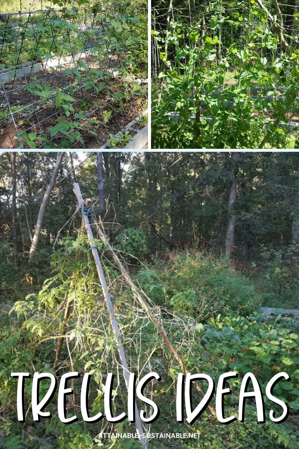 These Easy DIY Trellis Ideas Will Get Your Garden Growing UP!