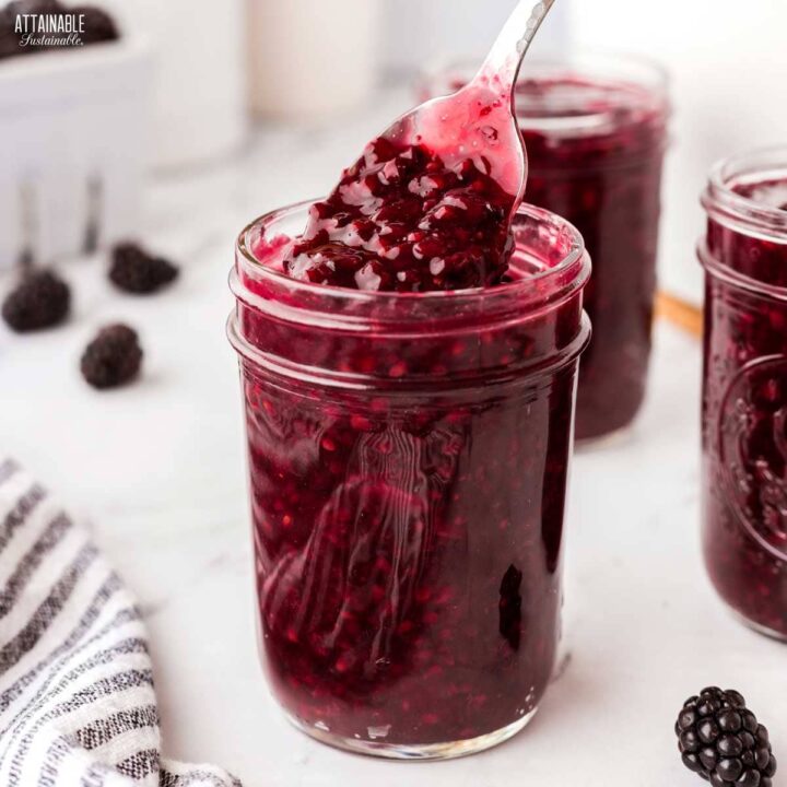 jar of blackberry jam with a spoon it it.