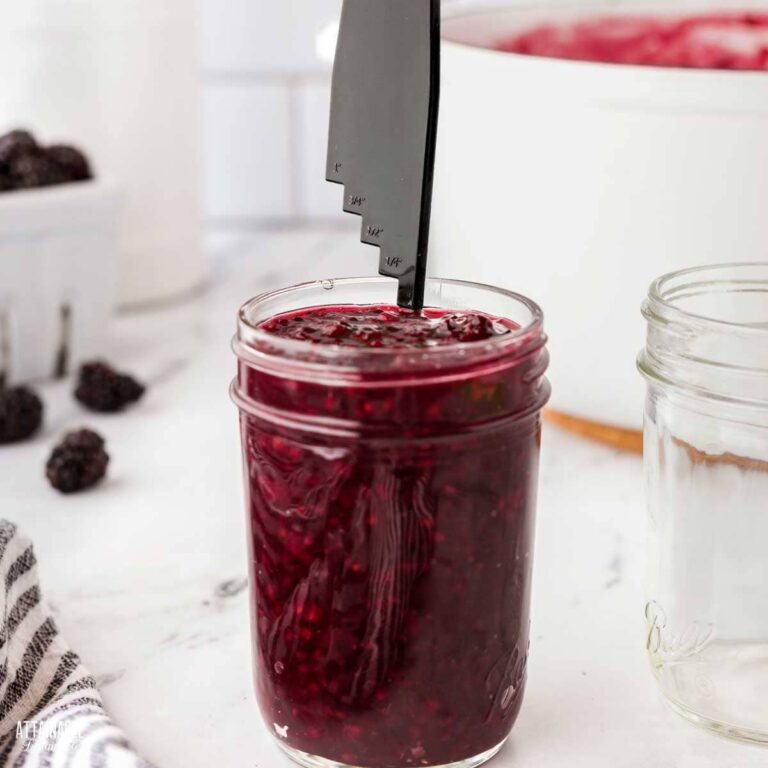 Canning Food at Home 101+ FAQs Attainable Sustainable®