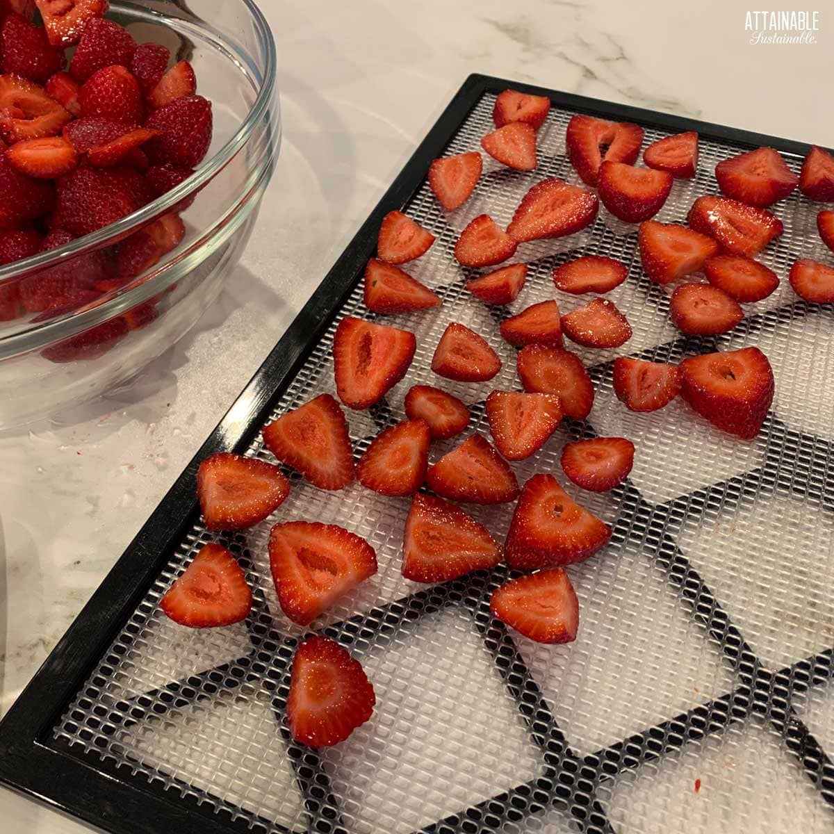 sliced strawberries on a dehydrator tray.