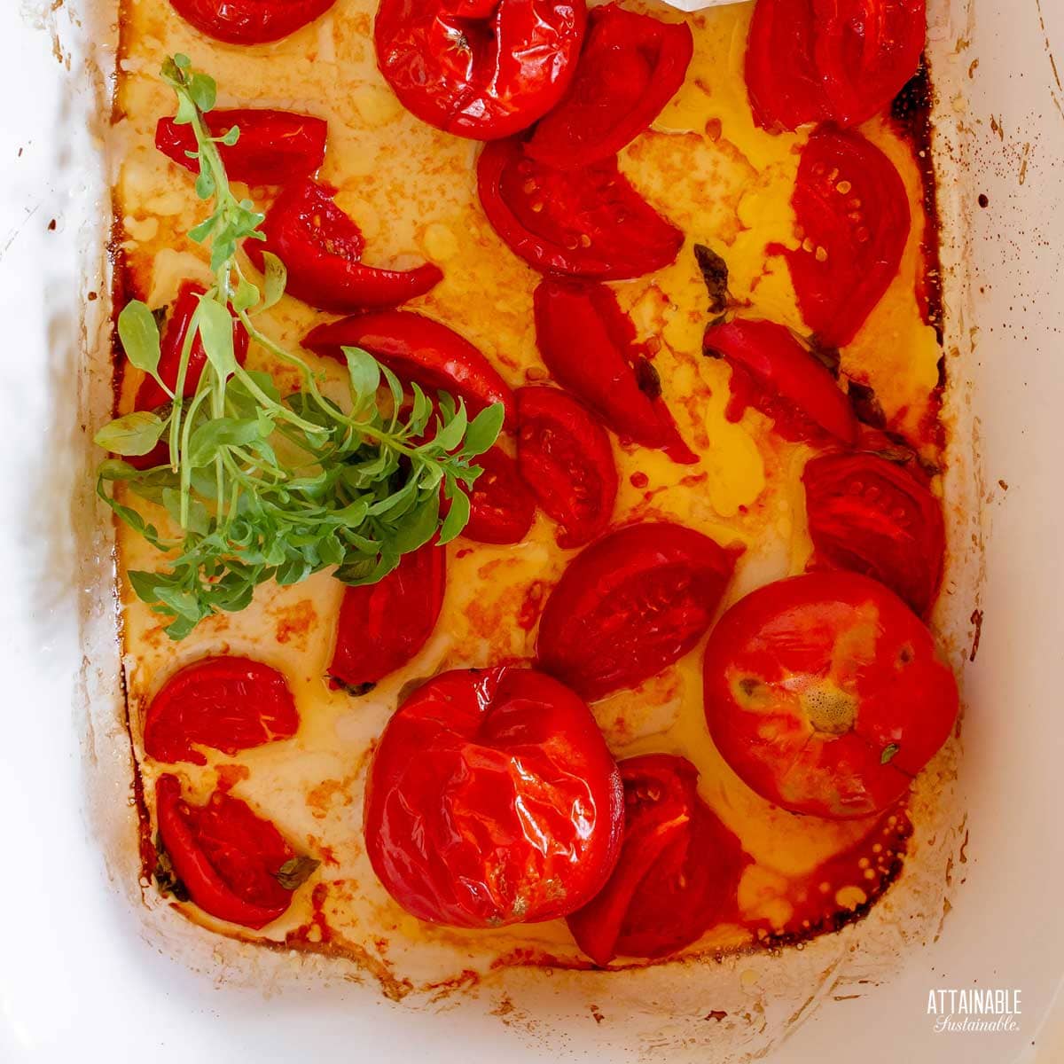 roasted tomatoes