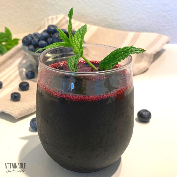 blueberry juice in a glass with a sprig of mint.