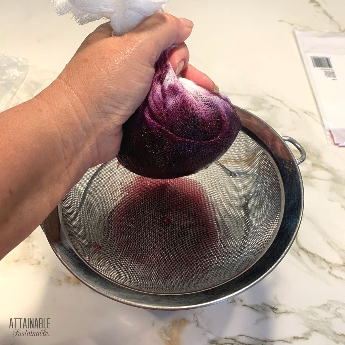 How to Make Fresh Blueberry Juice Attainable Sustainable®