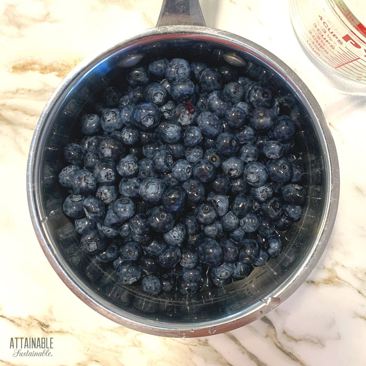 How to Make Fresh Blueberry Juice Attainable Sustainable®
