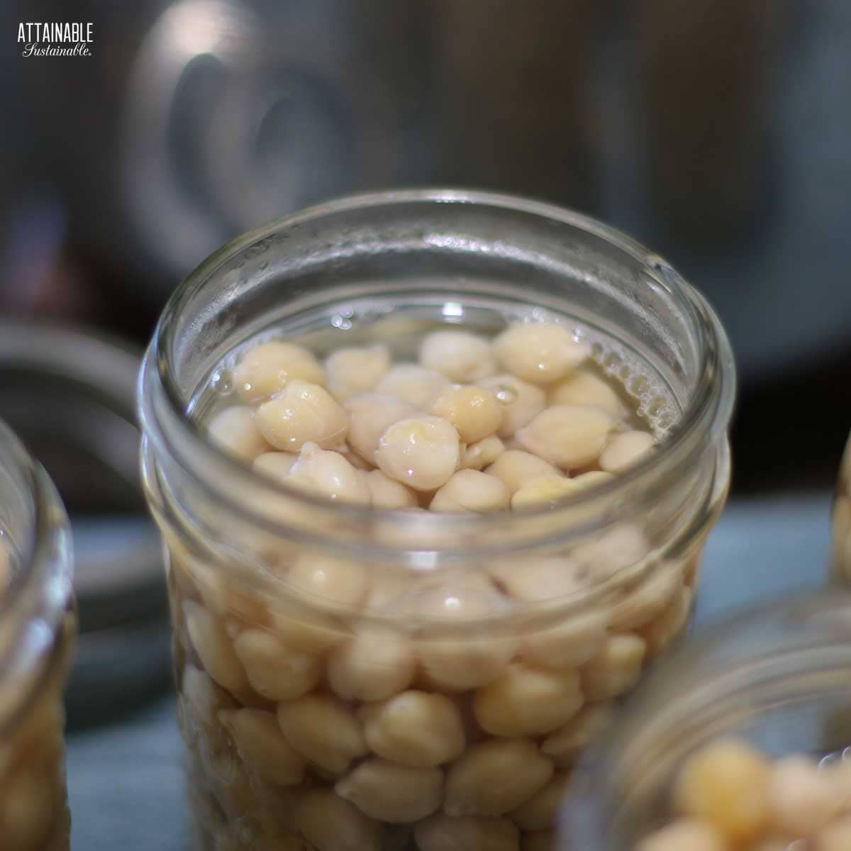 jar of beans with water.