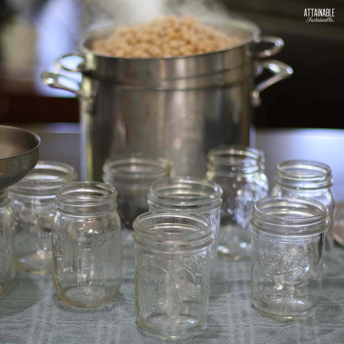 steaming beans in a colander.