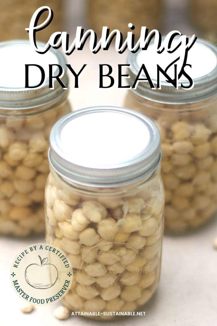 Canning Dried Beans Planning Ahead for Busy Weeknight Dinners