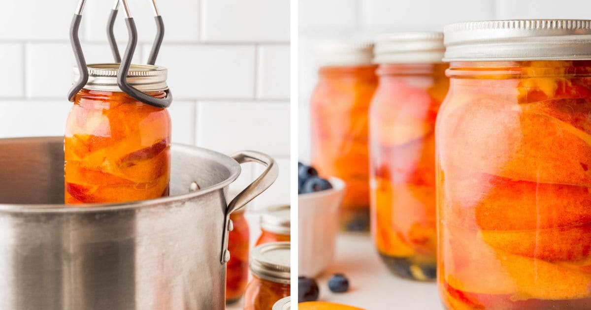 Canning Nectarines in Light Syrup Attainable Sustainable®