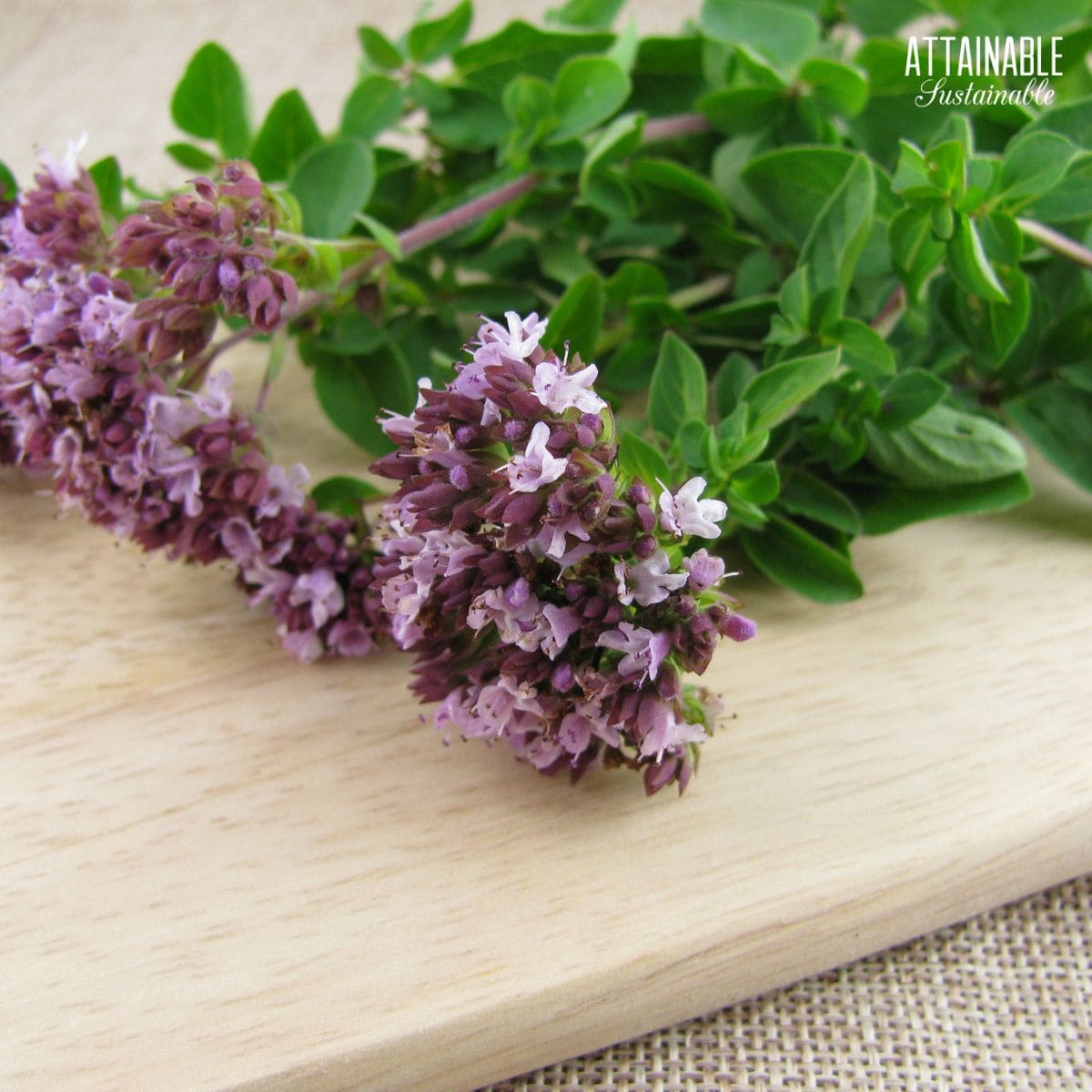 oregano flowers on a cutting board.